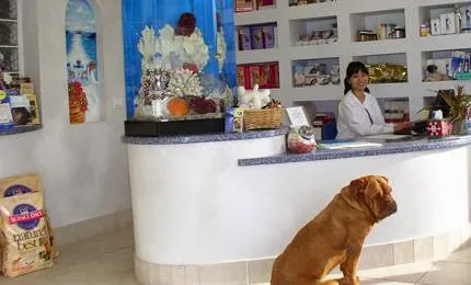 Monarch Veterinary Hospital 6