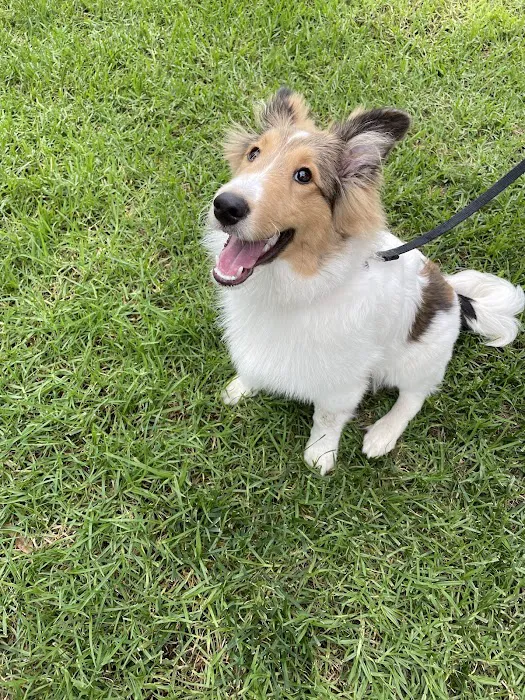 Mission Hills Pet Care Center 10