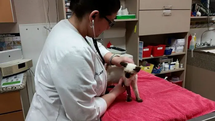 Mission Hills Pet Care Center 8
