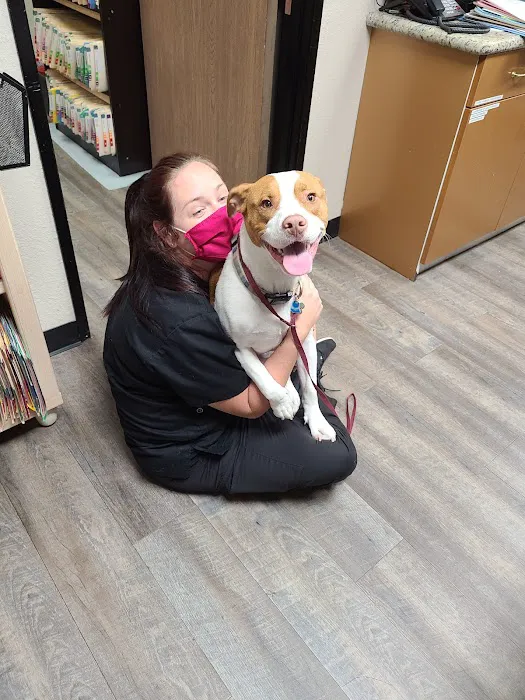 Mission Hills Pet Care Center 5
