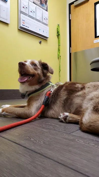 Banfield Pet Hospital 1