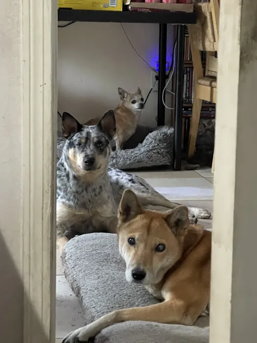 Banfield Pet Hospital 9
