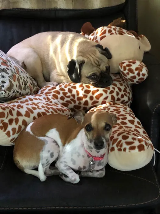 Mission Park Pet Hospital 12