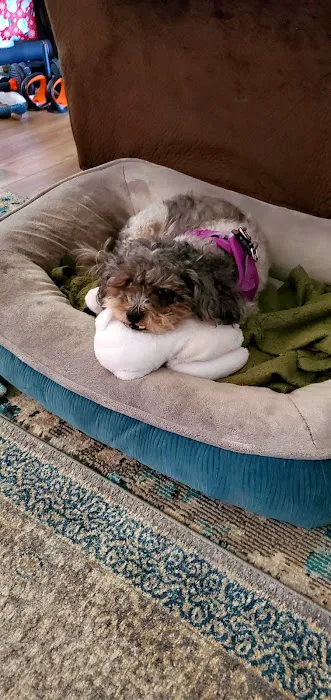 Mission Park Pet Hospital 12