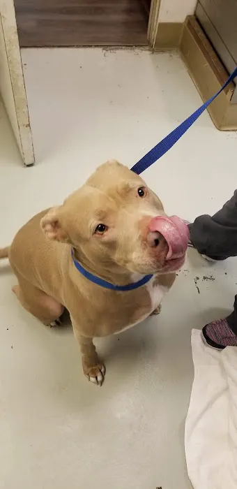 Mission Park Pet Hospital 12