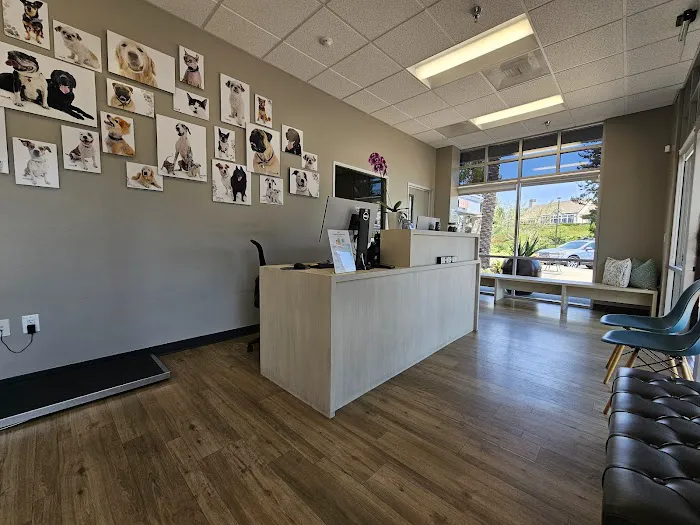Dana Point Animal Hospital 7