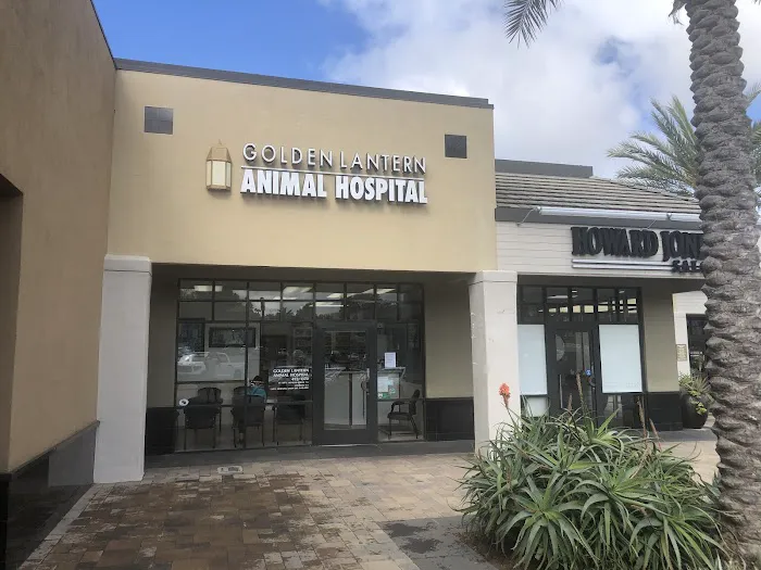 Dana Point Animal Hospital 1