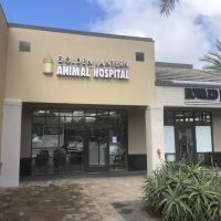 Dana Point Animal Hospital ico