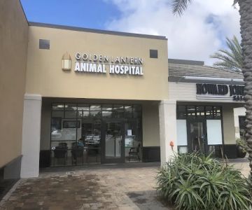 Dana Point Animal Hospital