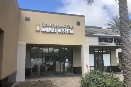 Dana Point Animal Hospital