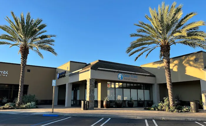 Dana Point Animal Hospital 4