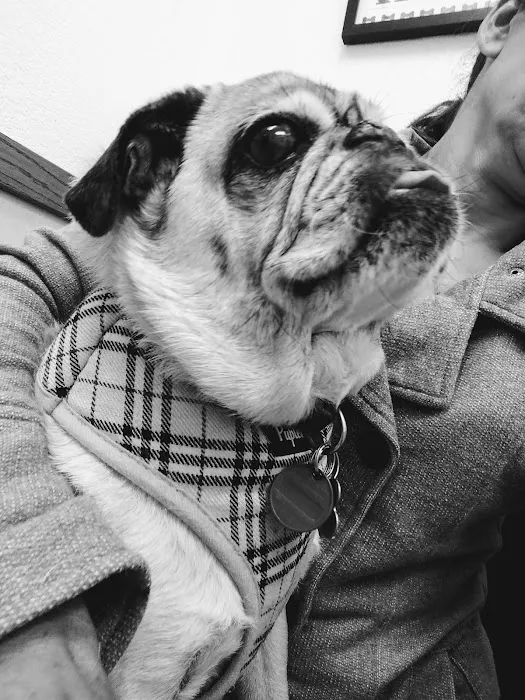 Dana Point Animal Hospital 2