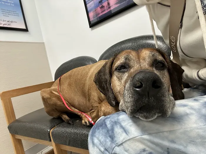 Marina Hills Animal Hospital 12