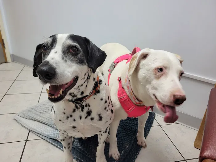 Marina Hills Animal Hospital 12