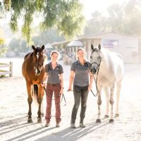 Orange County Equine Veterinary Services ico