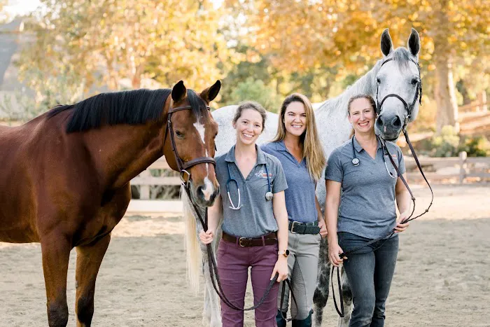 Orange County Equine Veterinary Services 2