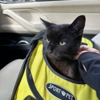 Animal & Bird Clinic of Mission Viejo ico