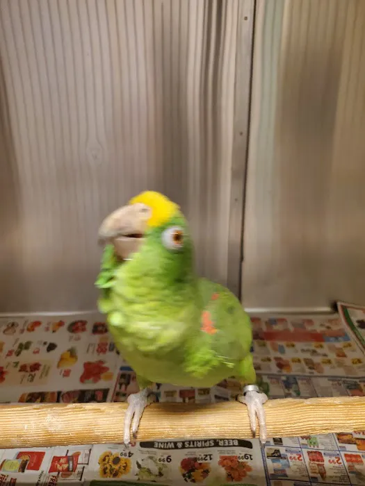 Animal & Bird Clinic of Mission Viejo 9
