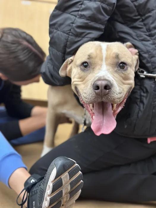 Alicia Pet Care Center 8