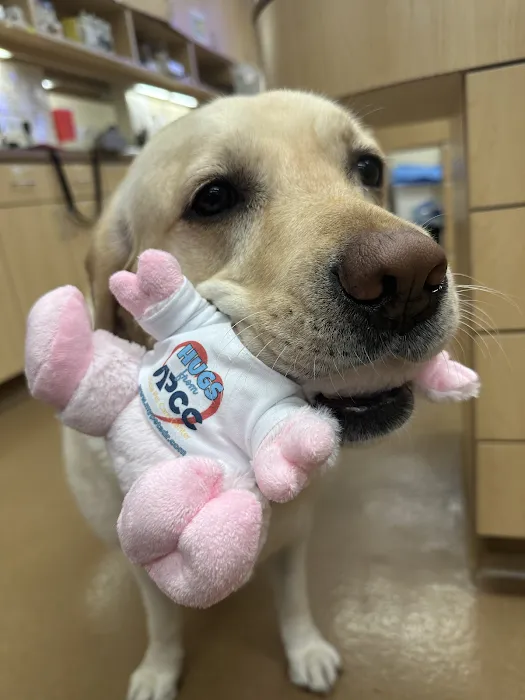 Alicia Pet Care Center 10