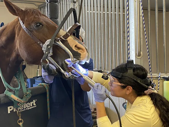 Mission Equine Hospital 1
