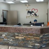 Our Pet's Vet ico