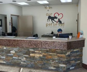 Our Pet's Vet
