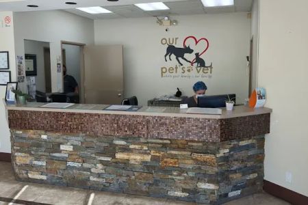 Our Pet's Vet