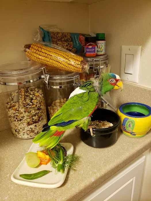 Serrano Animal & Bird Hospital 12