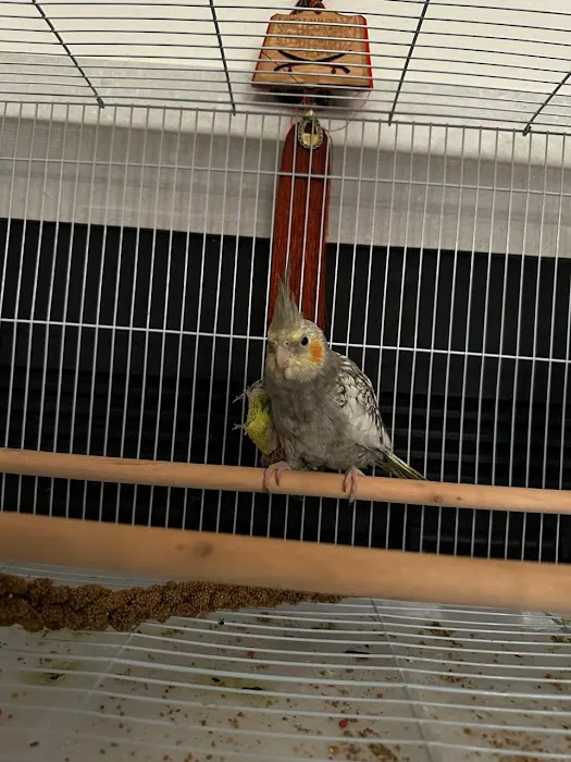 Serrano Animal & Bird Hospital 12