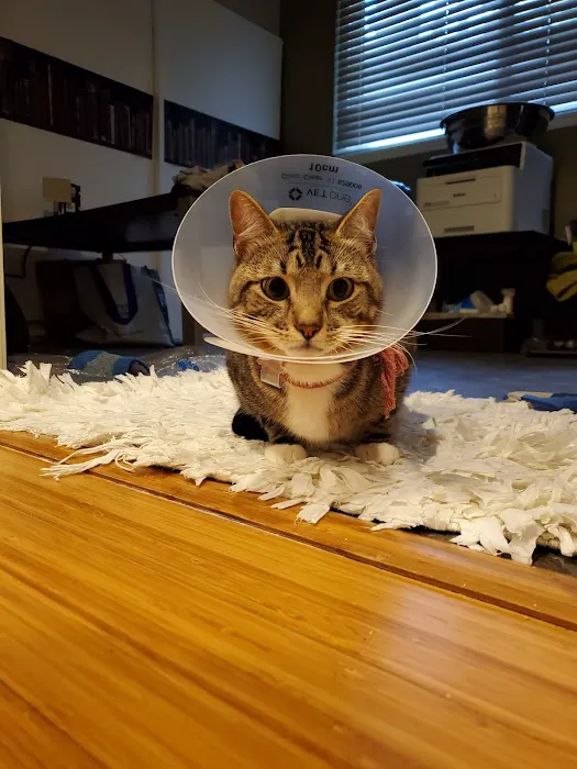 Pacific Animal Hospital 12
