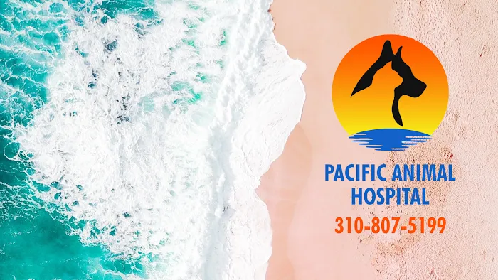 Pacific Animal Hospital 12