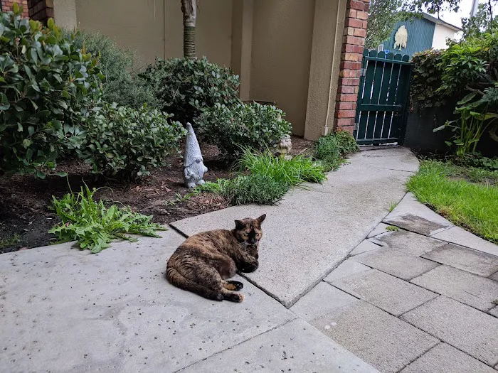 Pacific Animal Hospital 12