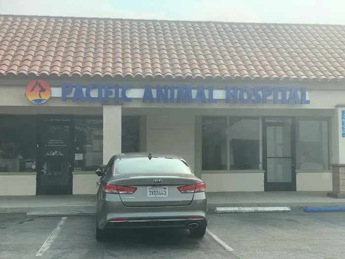 Pacific Animal Hospital 12