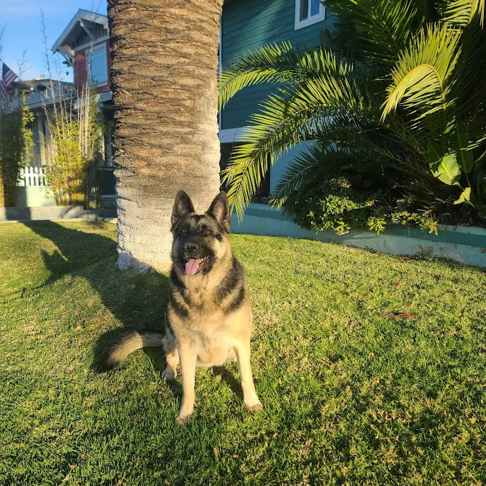 Pacific Animal Hospital 12