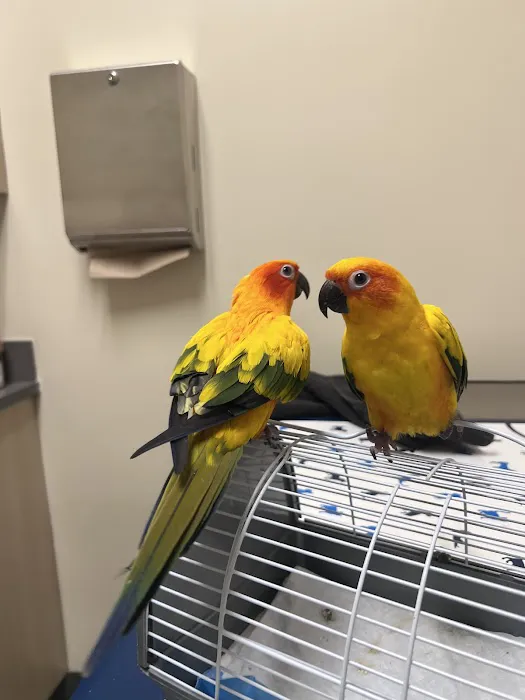 Vetco Total Care Animal Hospital 12