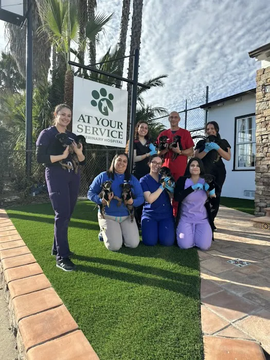 At Your Service Veterinary Hospital 12