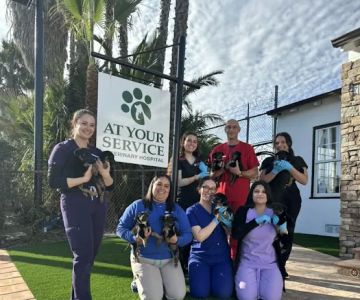 At Your Service Veterinary Hospital
