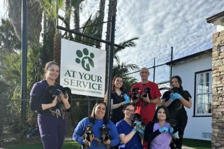 At Your Service Veterinary Hospital