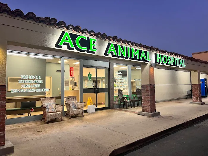 Ace Animal Hospital 1
