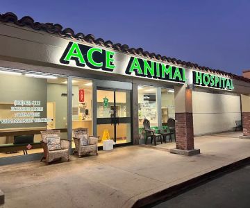 Ace Animal Hospital