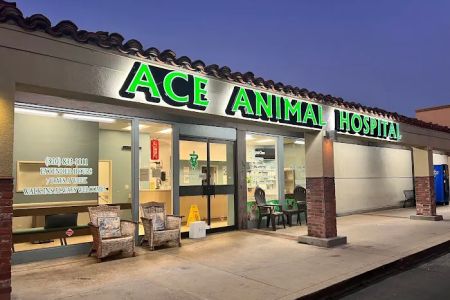 Ace Animal Hospital
