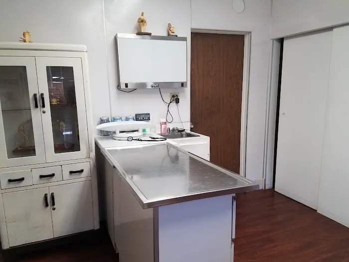 L.A. Pet Clinic 12