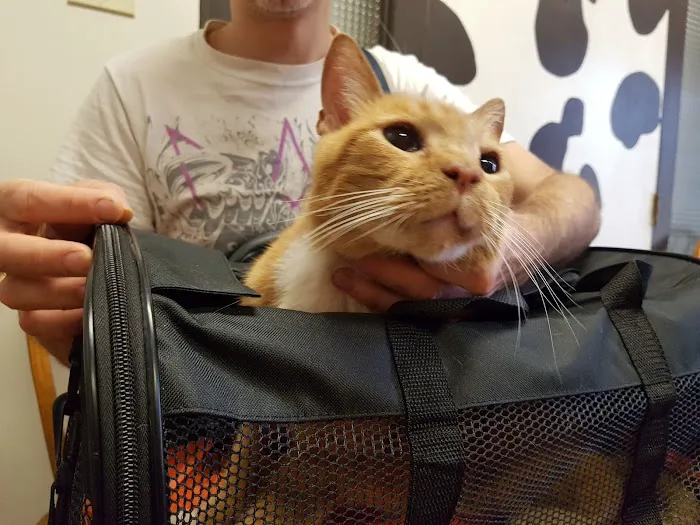 L.A. Pet Clinic 12