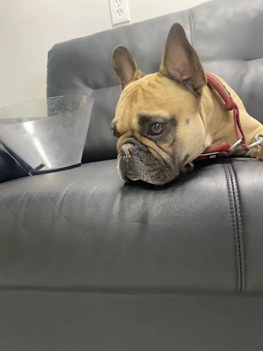 Cahuenga Veterinary Hospital 4