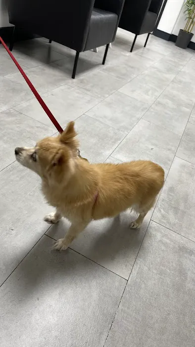 Cahuenga Veterinary Hospital 8