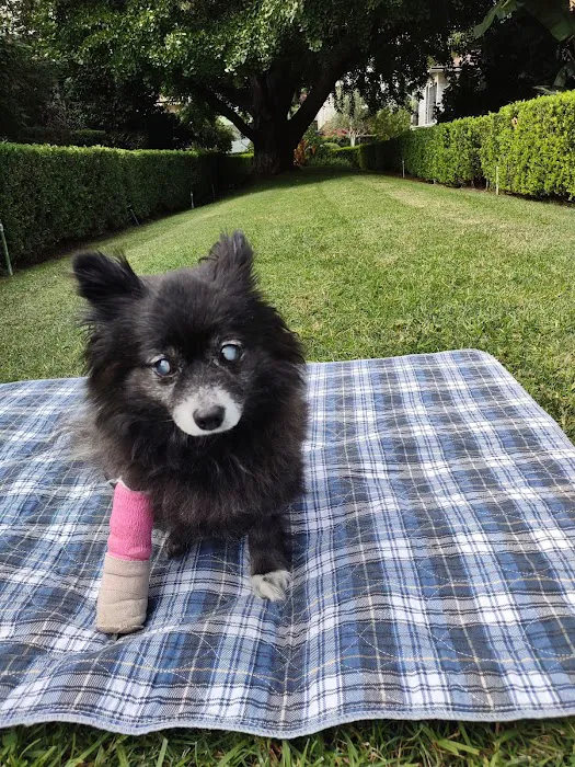 Cahuenga Veterinary Hospital 3