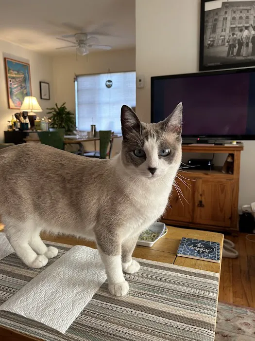 Cahuenga Veterinary Hospital 7