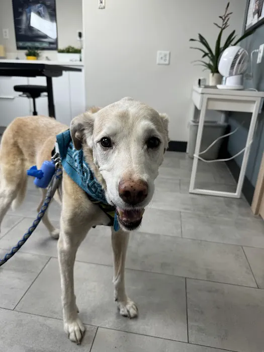 Cahuenga Veterinary Hospital 5