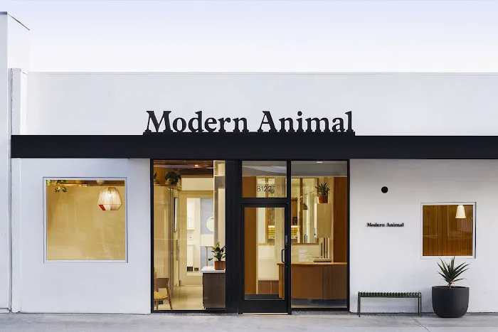 Modern Animal 4